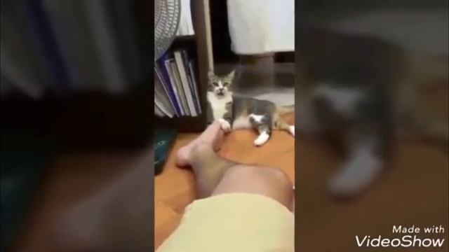 Сява качает смотреть онлайн