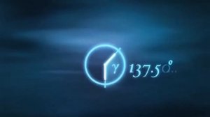 Фибоначчи в природе - числа фибоначчи в природе и ряд фибоначчи