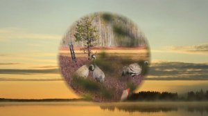 фотосафари на гуся  весна