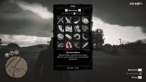 RDR 2 для ПЕРФЕКЦИОНИСТОВ [Часть 2]