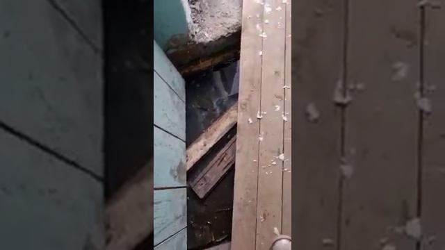 Ужасы Советской 96 города Холмск