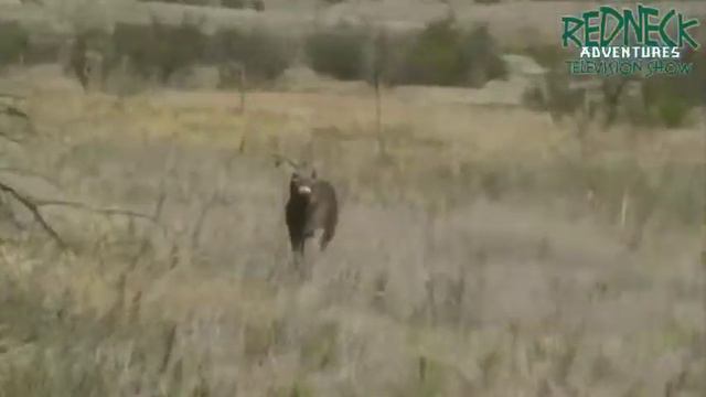 Rattlin' Randy - Redneck Adventures Classic Series смотреть онлайн