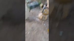 Солдат РФ рубит мину топором!