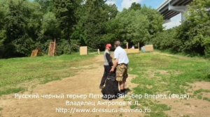 Защита хозяина.  Русский черный терьер Петмари-Зильбер Вперед (Федя), 2 года. Владелец Антропов К.Л