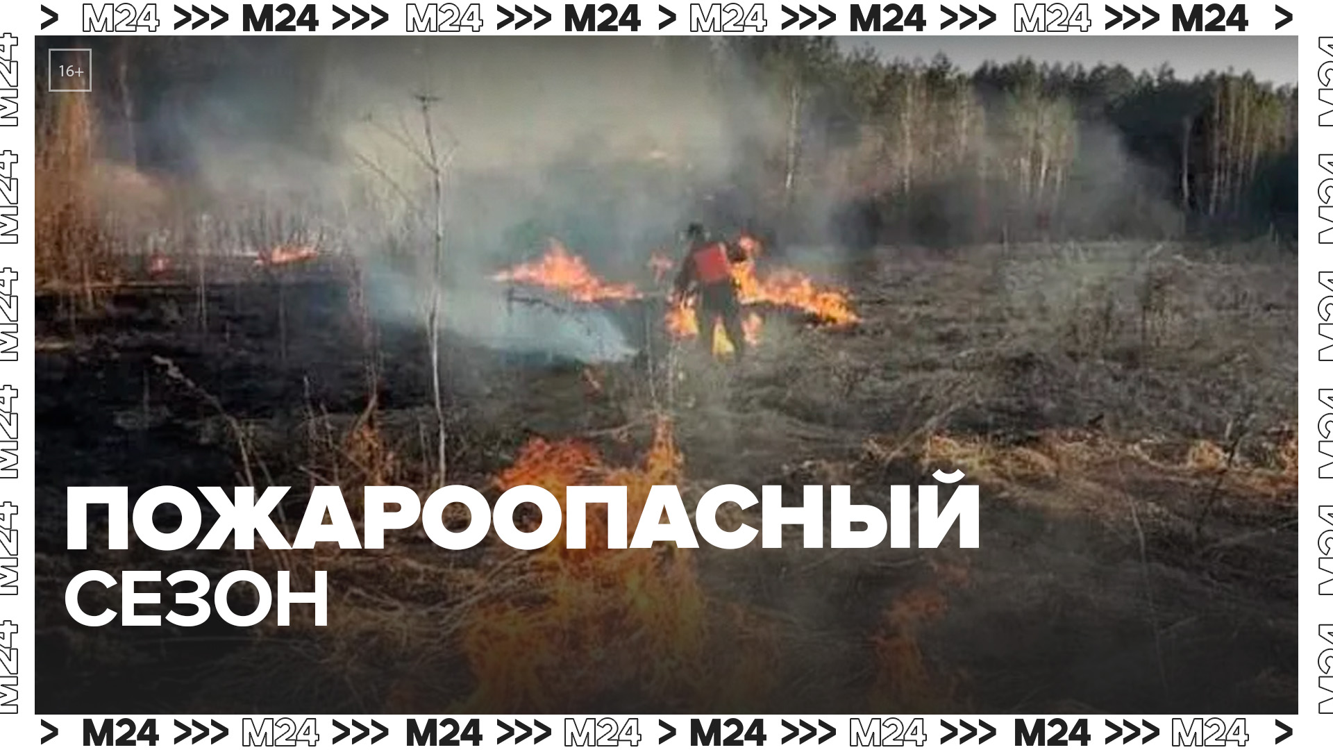 Пожароопасный период в ростовской области 2024