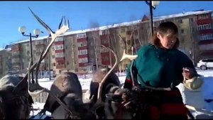Мы поедем, мы помчимся на оленях утром ранним.