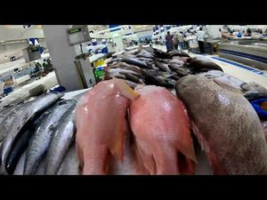 Рыбный рынок Waterfront Market Дубай Дейра