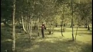 Николай Сличенко Клён ты мой опавший
