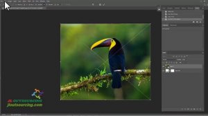 Free transform photoshop | how to transform in photoshop | free transform | transform tool