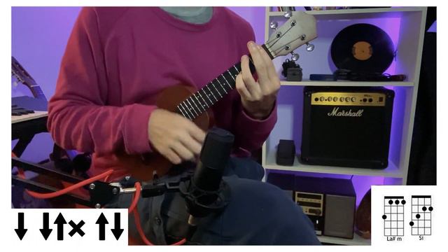 REGGAETON Y CUMBIA CON UKELELE | Te cura - Maria Becerra (cover ukelele) Martin Lopez смотреть онлайн