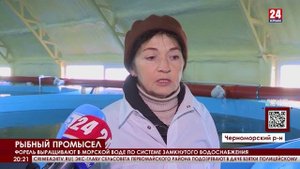 В Черноморском районе разводят радужную форель