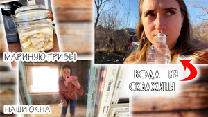 ? Маринованные грибы | Электрика в доме | Привезли окна | Технический проект дома | Хабаровск