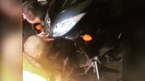 Переборка вилки Yamaha TMAX