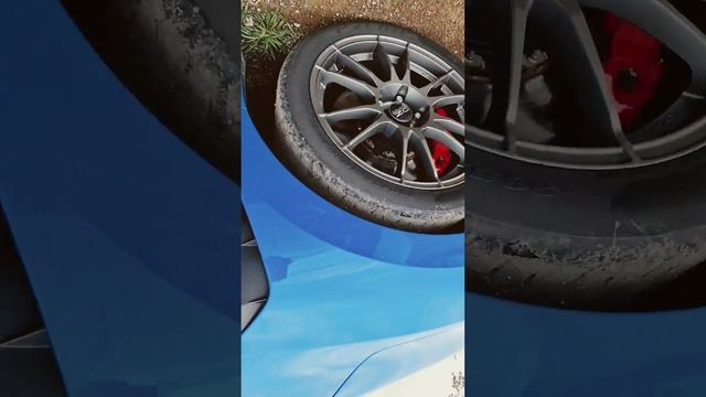 cıvıc ler смотреть онлайн