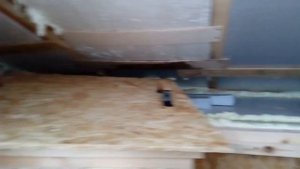 Зимний домик для кошек