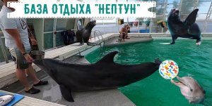 Донузлав /Дельфинарий "НЕПТУН" /Дельфинотерапия