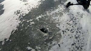 Ловля форели со льда. Пробую что это такое. Тест приманок! Форель со льда на вибы!