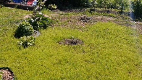 Моя дача?полный обзор! #дача#деладачные