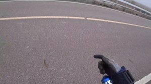 Охота на пеленгаса с моста(рыбалка с рогаткой)(slingshot fishing)