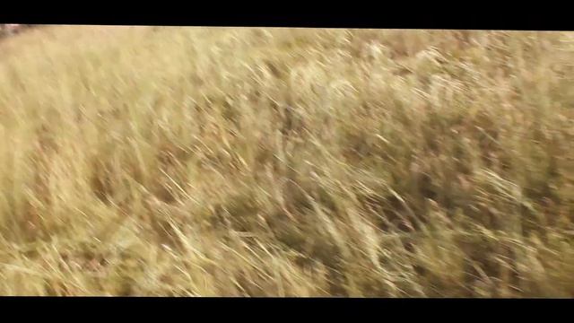 Fire Song - "Білі плями" (cover) смотреть онлайн