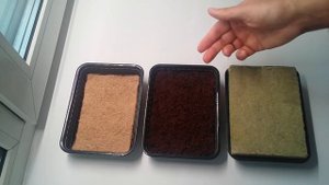 Типы субстрата для выращивания микрозелени