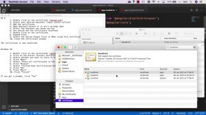 074 Setting up Angular to use HTTPS