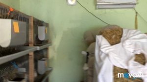 КРОЛИКИ ВЫГРЕБАЮТ КОМБИКОРМ, что делать?