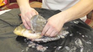 ЧИСТКА РЫБЫ/ Как ПОЧИСТИТЬ РЕЧНУЮ РЫБУ правильно! Вырезаем филе из рыбы ПРАВИЛЬНО