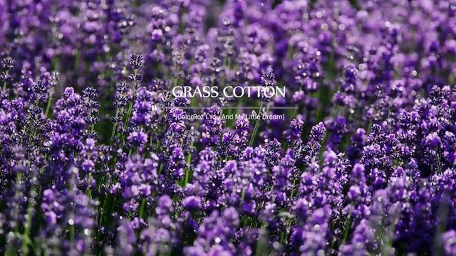 Нежная романтичная инструментальная музыка. Музыка для создания атмосферы, настроения, удовольствия. смотреть онлайн