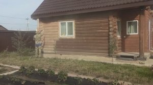 Пескоструй дерева,красиво!