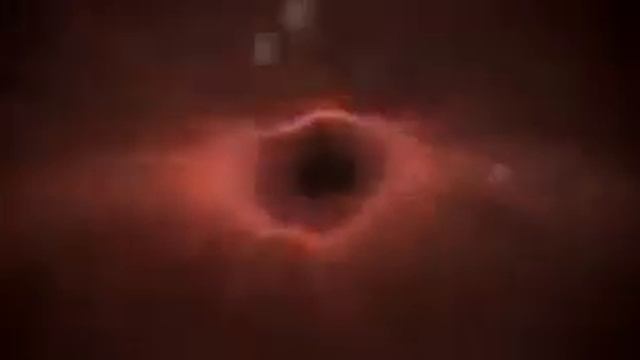 МОЗГИ В УНИТАЗЕ Покажи это всем друзьям! смотреть онлайн