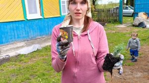 Купили домик в деревне и наводим красоту!!Делаем кострище из старого кирпича.
