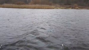 Рыбалка, Большой окунь, , На тролинг, Водохранилище