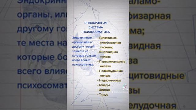 Психосоматика, эндокринная система, список самых эндокринных органов в организме по телу человека