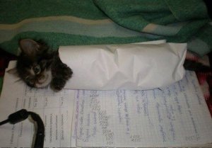 UNUSUAL MEMES COMPILATION V2