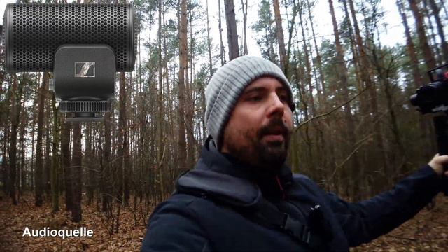 ✅ Test Sennheiser MKE200 | Vergleich zu Røde + Comica | Anschluss an Osmo Pocket mit Rollei VlogSet смотреть онлайн