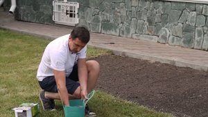 ГАЗОН ДЛЯ ДАЧИ | ПРАВИЛЬНАЯ ПОСАДКА | САДОВЫЙ РАЙ