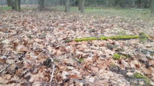 ГСВГ. Altes Lager.Вокруг здания клуба в/ч 47279,50346,25477,50319  11.02.2023
