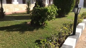 Sultan Gardens Resort 5*/прогулка по территории