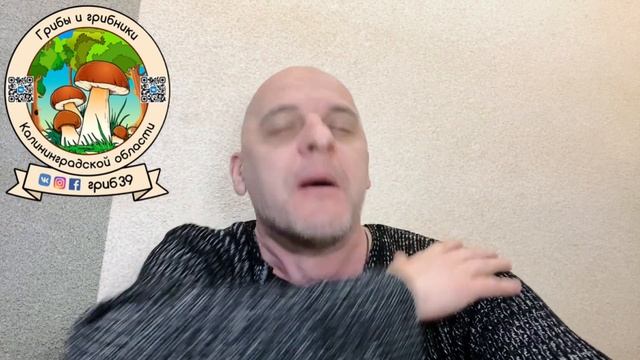 НАМ 4 года на базе ВК  Грибная банда рулит  ГРИБНИКИ ВСЕГО МИРА Объеденяйтесь!