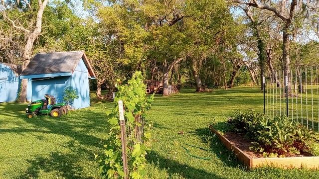 Дорожная сказка