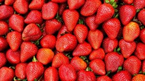 ОПРЫСКАЛА ВСЮ КЛУБНИКУ ЭТИМ, УРОЖАЙ ФАНТАСТИКА! ВСЯ ЯГОДА КРУПНАЯ, ВЕДРАМИ СОБИРАЮ КЛУБНИКУ!