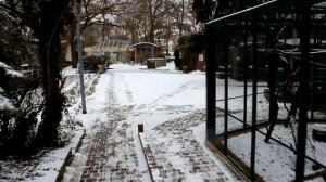 Luterstadt Wittenberg (Лютерштадт Виттенберг) 02.01.2017.