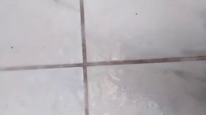 Как очистить швы между плиткой в ванной за несколько минут