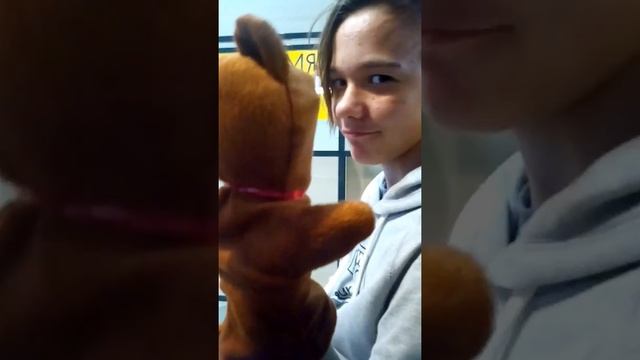 Спаривание медведей. смотреть онлайн