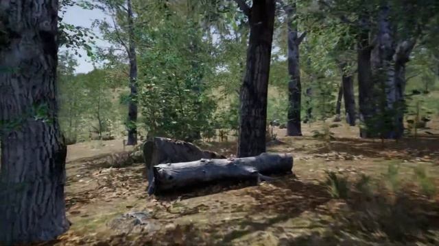 Пример 3D визуализации природы
