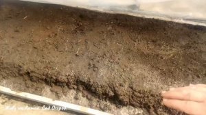 Выращивание томатов на плёнке в сезоне 2021. Готовлю грядку под плёнку в теплице.