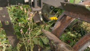 Мотоблок RED VERG