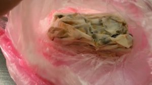 Агроопыт Кедр или Проращивание кедровой сосны