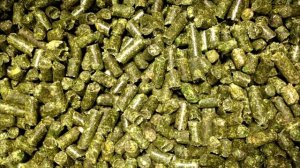 Наполнитель для крыс - какой лучше?